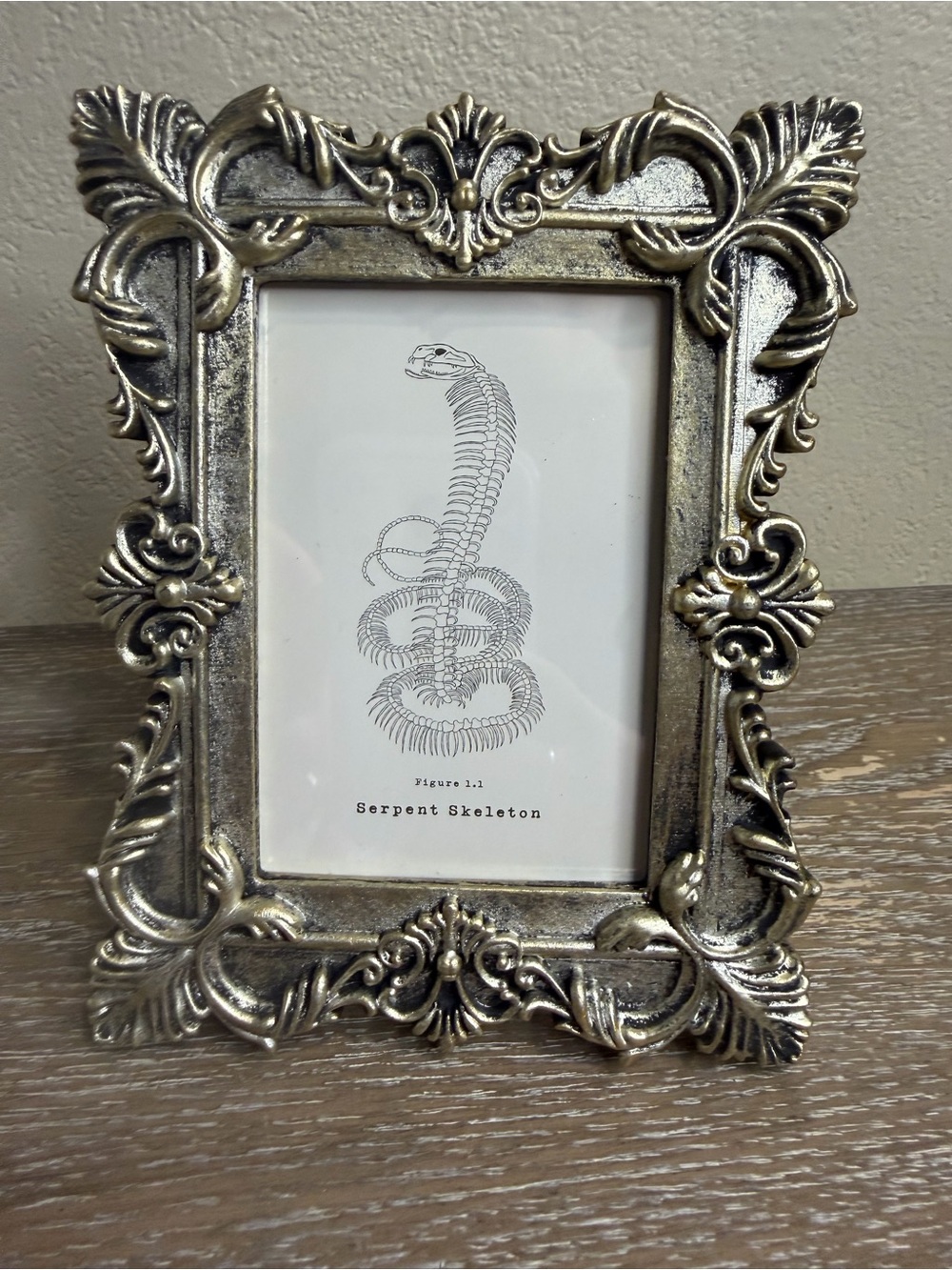 Target Bullseye Playground Halloween Picture Frame